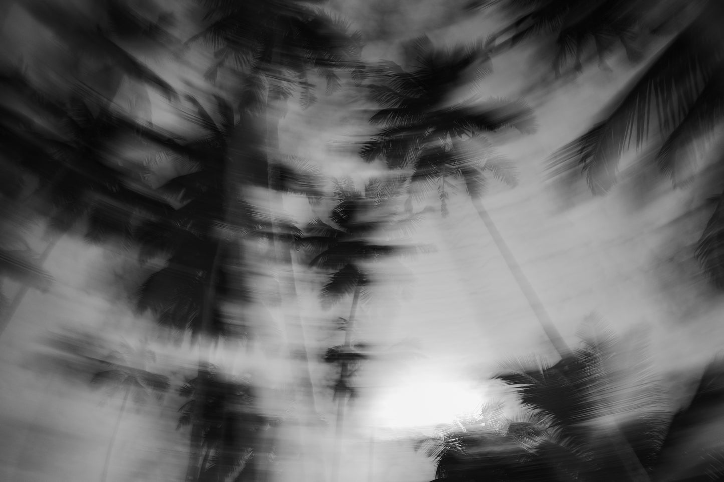 Hallucinations