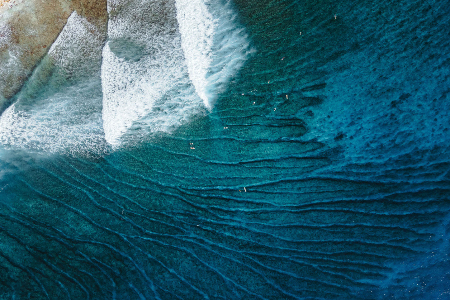 Honkey's