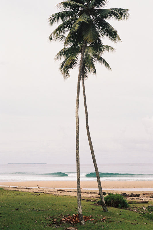 Day Dreams