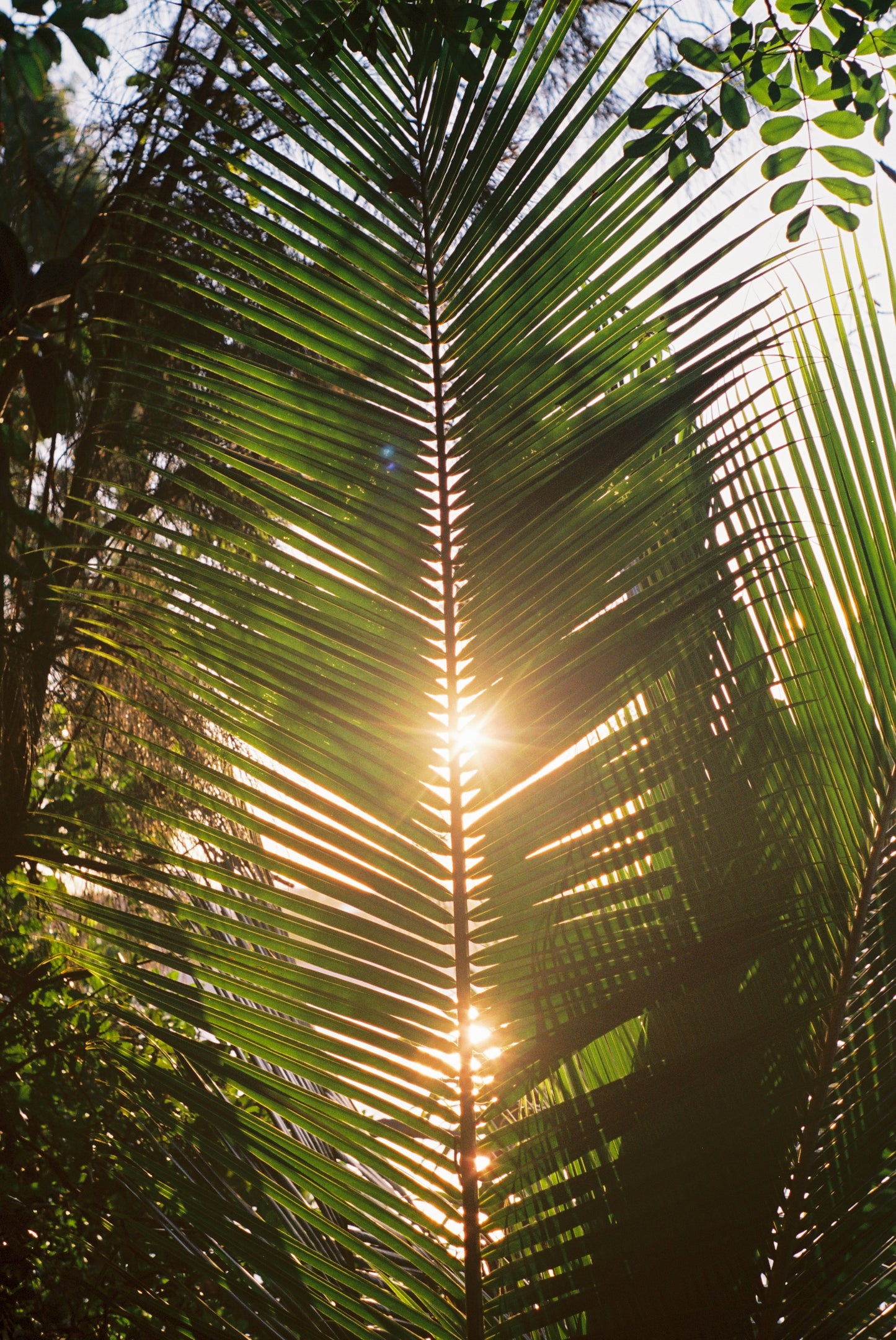 Double Sun