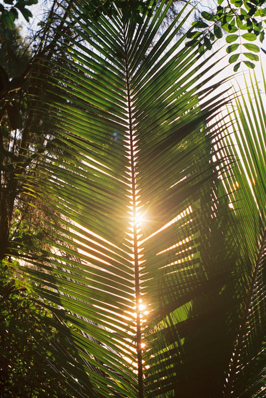 Double Sun