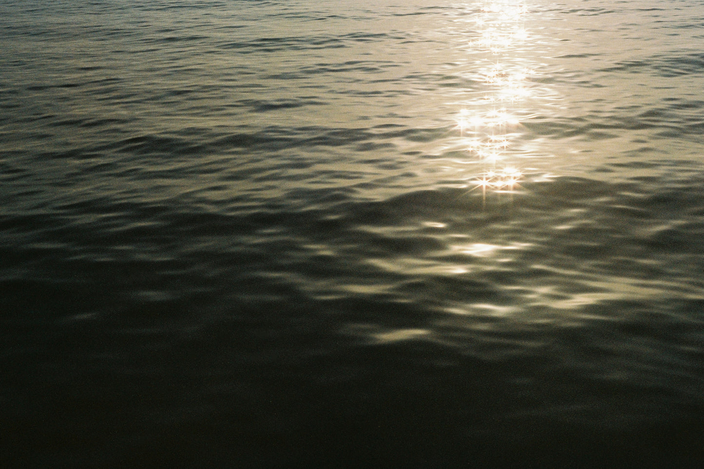 Sparkling Reflection