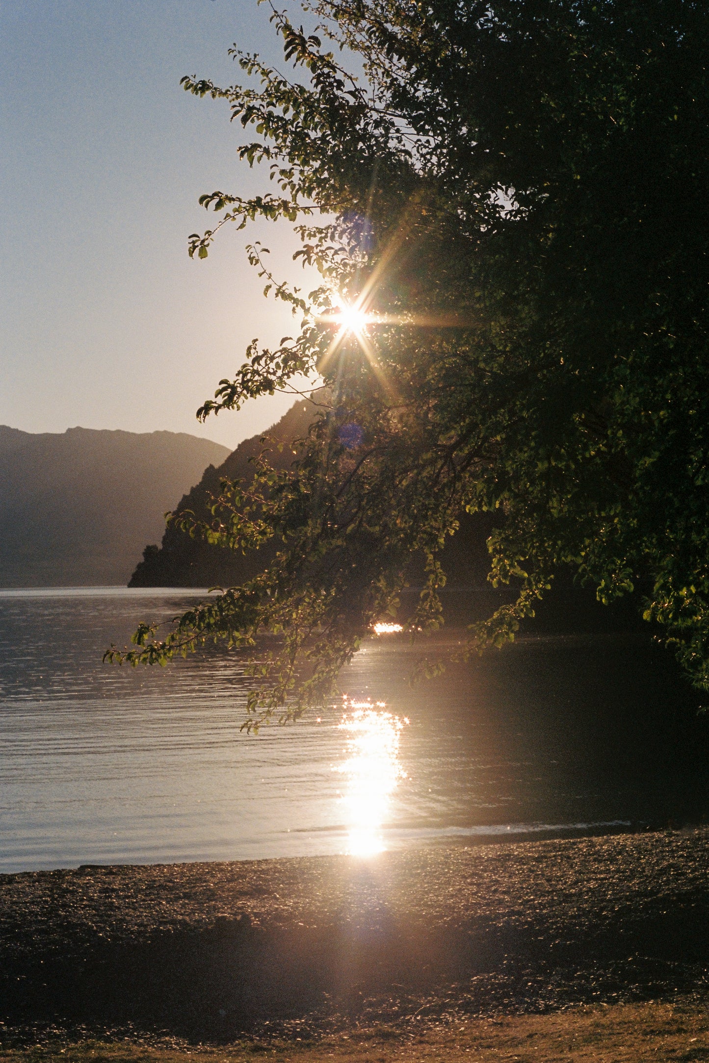 Sunlit Memories