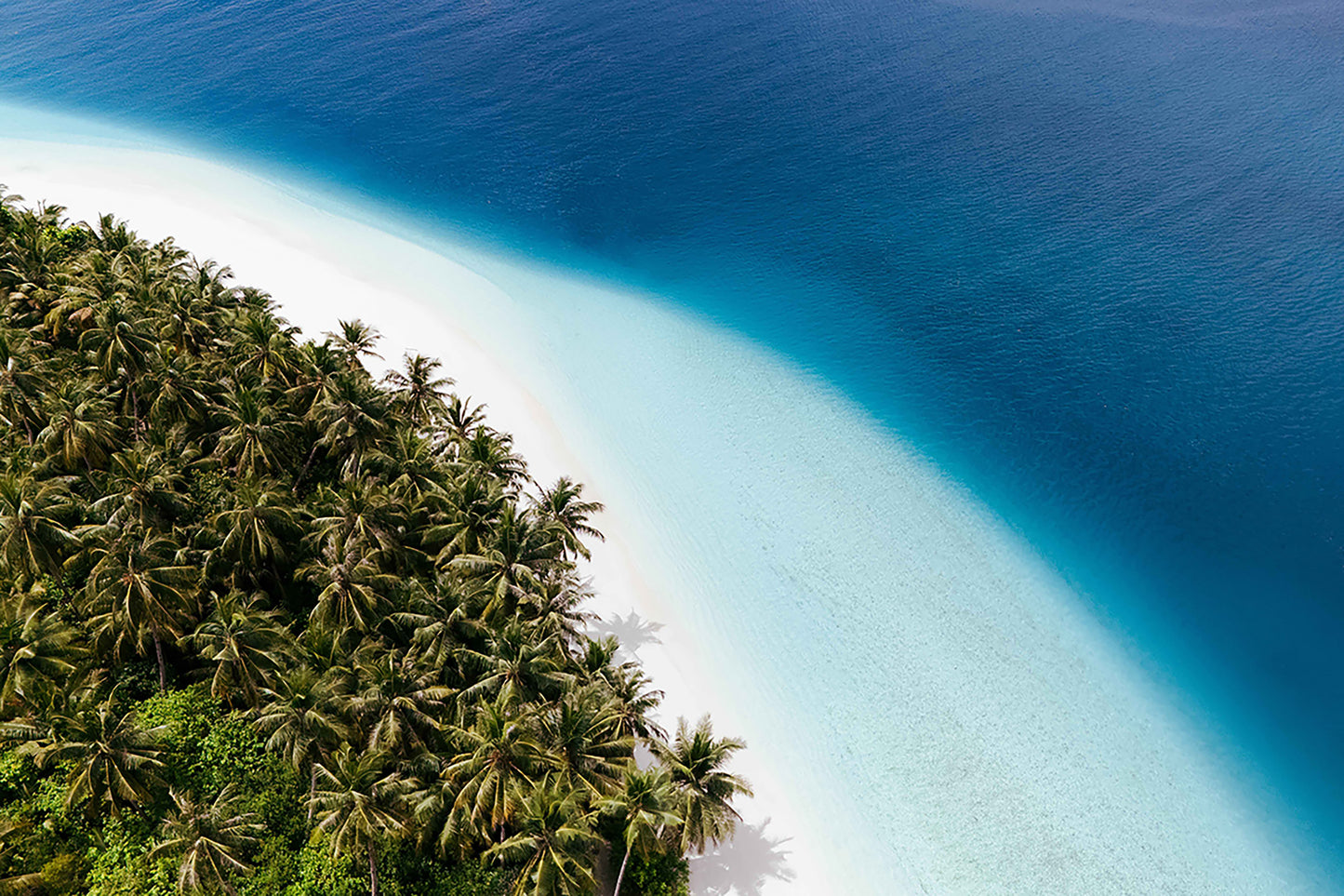 Where Land Meets Sea